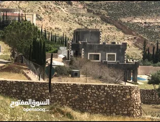  1 مزرعه للبيع في السلط مساحة الأرض 4218م مساحة البناء 450م