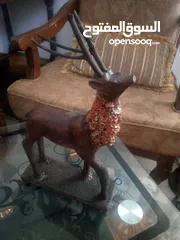  8 مناظر حيوانات للبيع بسعر مغري