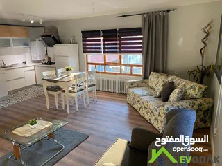  3 Near hospitals full furnished apartments