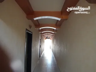  7 شقة فارغة من المالك مباشره للعائلات فقط