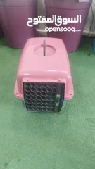  2 ذكرقط هملايا اورنج عمر شهر ونص كامل اغراضو البيع بسبب سفر