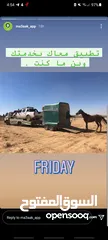  1 مقطورة خيل تحمل رأسين خيل معها ب يان جمركي ومرخصة