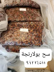  3 تمور عمانية للبيع