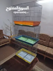  3 بيض بلدي اقفاص طيور مينا