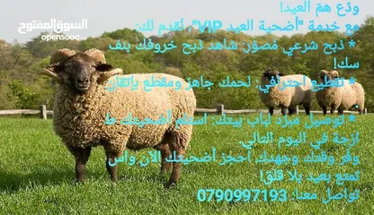  3 ابو حسين للاضاحي عجول وخرفان خبرة واحترافية: سنوات من العمل في مجال الذبح تضمن لكم خدمة ممتازة.