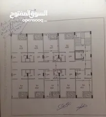  3 الجامعة الامريكية