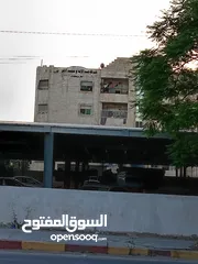  10 شقه للبيع اربد مجمع الشيخ خليل قريبه من دوار القبه وكلية البنات وبجانب المستشفى الاسلامي من المالك