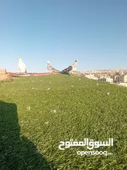  13 حمام بيع مستعجل للبيع