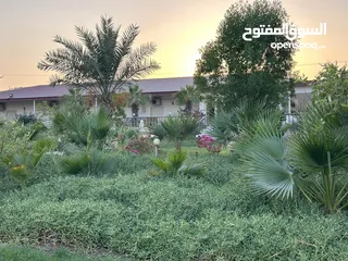  7 جوهرة الوفره