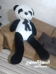  1 دبدوب باندا طول متر ونصف