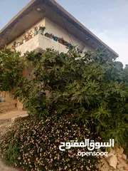  1 منزل مستقل للبيع في عرجان للاستفسار على هاذ الرقم