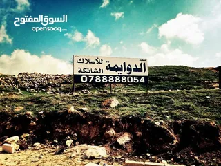  1 للتشييك المزارع وملاعب