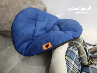  4 إكسسوارات قطط مستعملة بحالة الوكالة