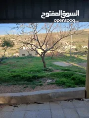 4 شقه فارغه للايجار شفا بدران/ الكمشه  الاجره شهريه 90