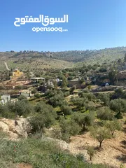  9 مزرعة للبيع