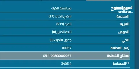  5 للبيع - الكرك - تلعة الخنزير (بالقرب من المستشفى الحكومي) داخل حدود بلدية الكرك