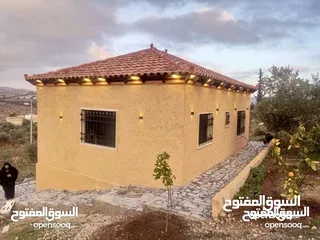  10 لقطه مزرعه مع بيت ريفي 48 الف قابل للتفاوض منطقه ريف جرش