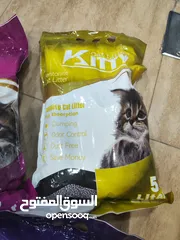  2 تراب قطط مميز كيتي