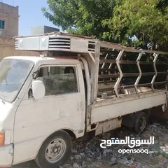  3 كيا بنجو ديانا