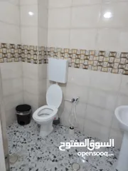  19 شقة مفروشة وجديدة