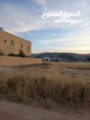  3 ارض للبيع في منطقة ام الدنانير/ REF: 002