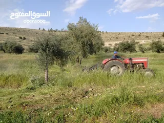  21 مزرعه  6 دونمات ب اقل سعر بلمنطقه 38 الف دحل جرش