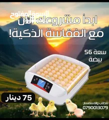  1 فقاسة اوتوماتيك 56 بيضة نوع ممتاز