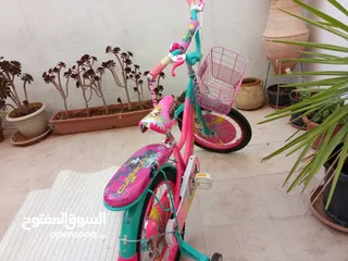  7 بسكليت جميل