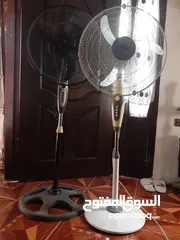  12 سجاده 2 ونص ب 3 ونصف تقريبا فقط