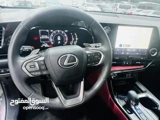  11 LEXUS NX250