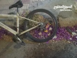  1 دراجه هوائيه جنط24_26
