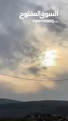  6 جولف موديل ال 2000