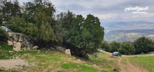  5 زي 1600 م منطقة حرجيه