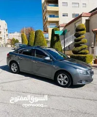  1 شفر كروز 2010