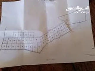  1 اراضي للبيع بمنطقة عين عريك 7 دونم مفروزة وجاهزة يمكنك شراء دونم واحد او اكثر من دونم