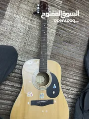  1 Acoustic Guitar - Fender