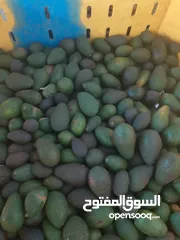 8 مشروع تجاري مربح