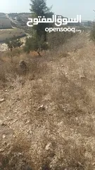 3 دونم ارض للبيع