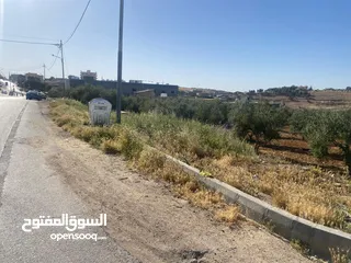 4 قطعتان ارض للبيع احدهما تجاري و الاخرى سكني ب على مدخل ذيبان /مادبا