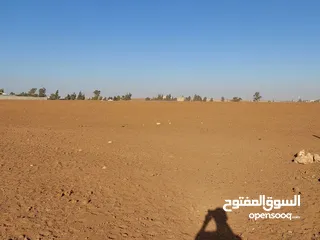  7 مادبا ماعين مشرفه المرعاوي  قطعة ارض زراعية مميزة  ذات اطلالة على البحر الميت واصل الخدمات 4150 متر