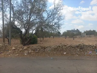  4 أرض مساحة 7 دونم في وسط دير غسانة وعلى ثلاثة شوارع