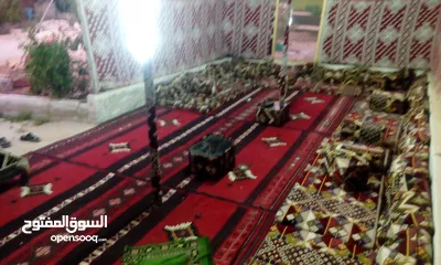  22 خيم شعر تراثيه