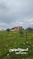  1 للبيع مزرعه 4.5 دونم في حمنانه المفرق ام حبل مخدومه
