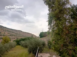  9 مزرعه مع 2 بيت ريفي مخدومه ماء وكهرباء مساحتها 4712
