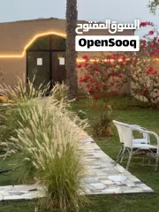  23 مزرعة جميله عائليه هادئه تصلح للحفلات للإيجار اليومي في رأس الخيمة