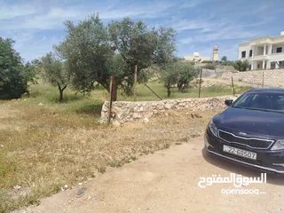  6 دنم مميز بطنا ع شارعين قرب شارع الستين الجديد
