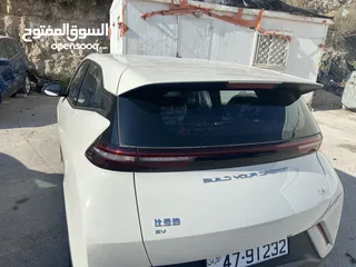  10 BYD سيجل 2024