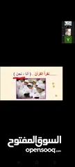  10 تدريس مادة اللغة العربية ( ابتدائي) خبره خمس سنوات في مجال التأسيس والصفوف الأولية