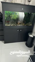  1 Aquarium for sale