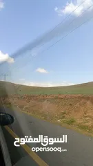  1 مطلوب فرخ كوكتيل تعليف